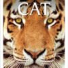 DK Eyewitness: Cat