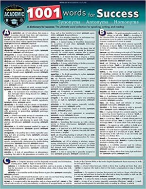 1001 Words for Success